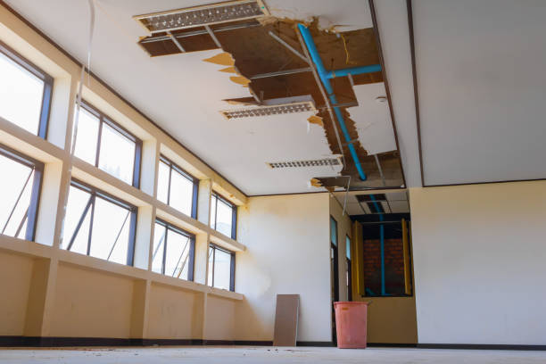 Best Fire Damage Restoration  in Crystal Lake, FL